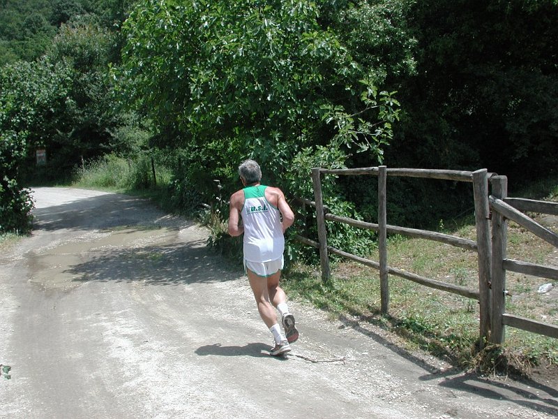 Sorbo 2006 08.jpg